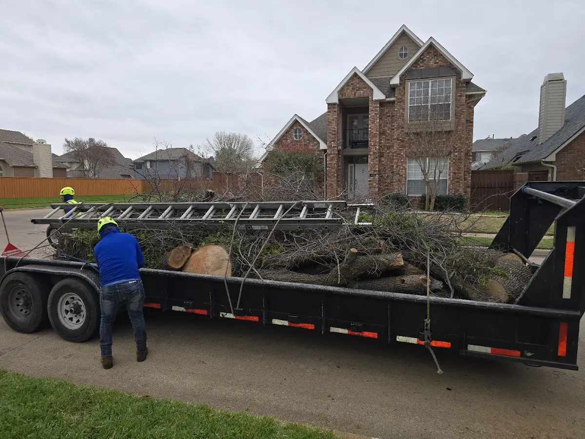 Expert Crown Reduction with proper safety equipment in Cedar Bluff